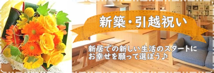 新築祝い 引越し祝い 新築祝い相場 引越し祝い相場 新築祝いプレゼント 引越し祝いプレゼント 新築祝いのし 引越し祝いのし 新築祝い友人 引越し祝い 友人